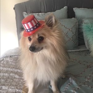 Meet your Posher, Ingrid